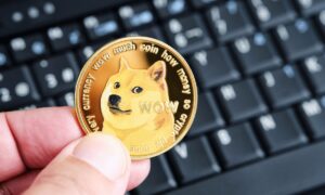 Can You Gamble With Dogecoin Tips For A Crypto Gaming Adventure